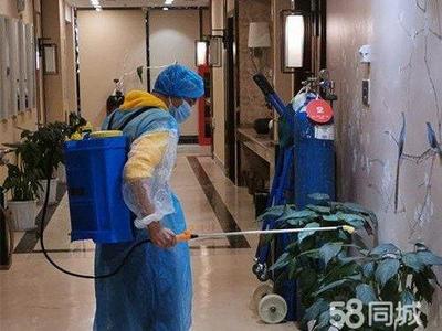 專業保潔服務 從美縫除醛到衣櫥整理，全方位守護家居健康